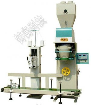 �����ԄӶ�����